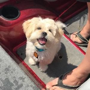 Meet your Posher, Jeanie